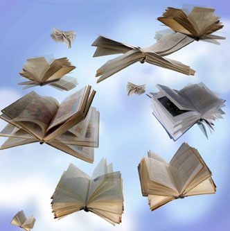 Fly High books